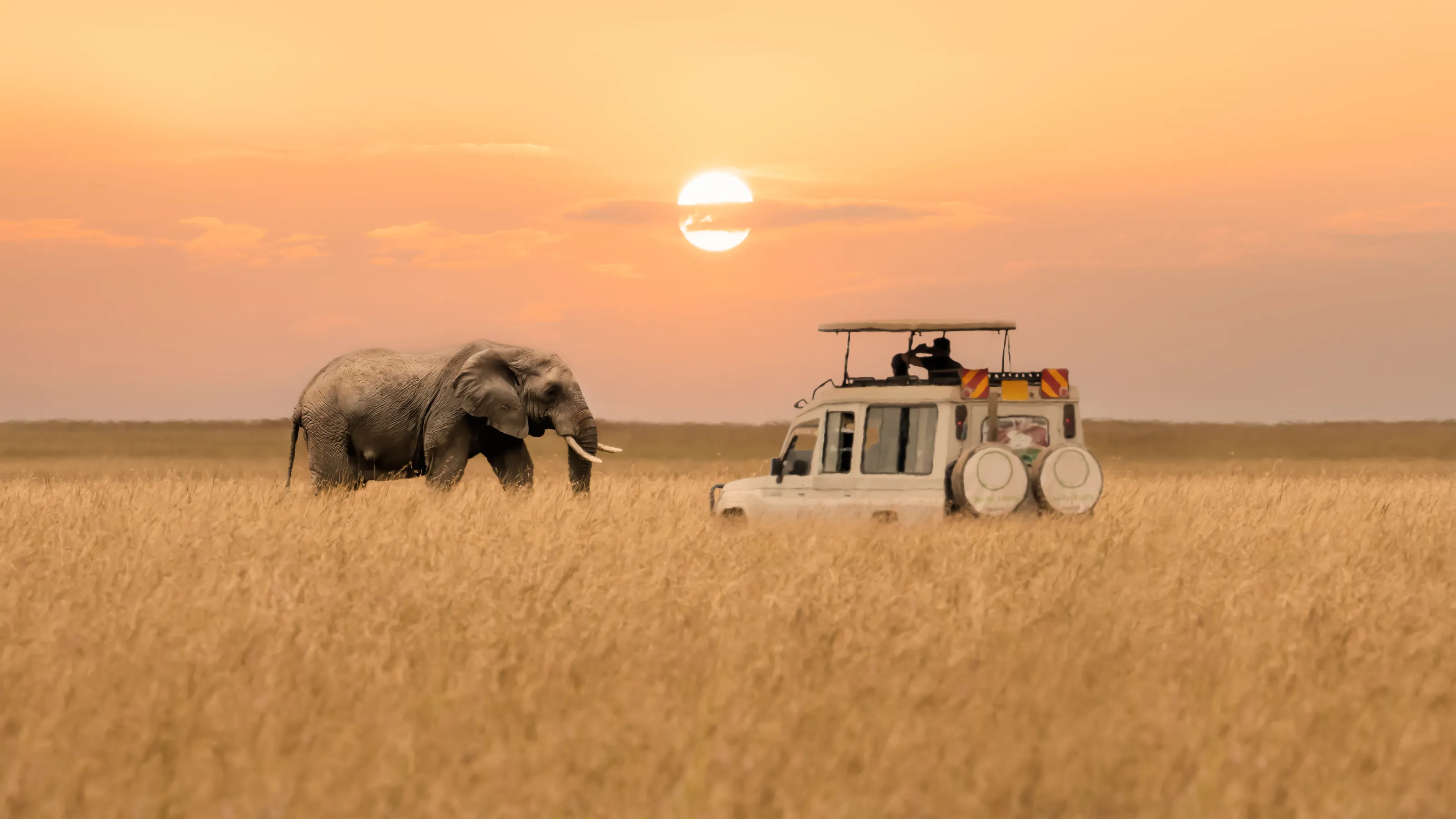 kenya